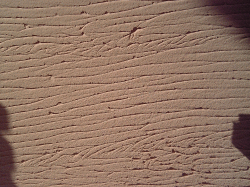 ジョリパット　ローラー水仙模様　外壁塗装例