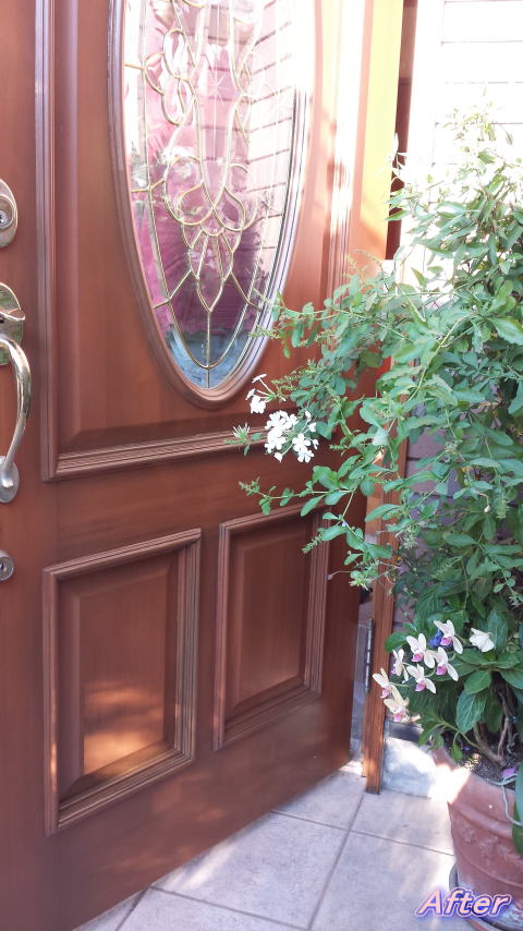 木製玄関ドア塗装修理横浜ＴＳＤ　塗装例74-05
